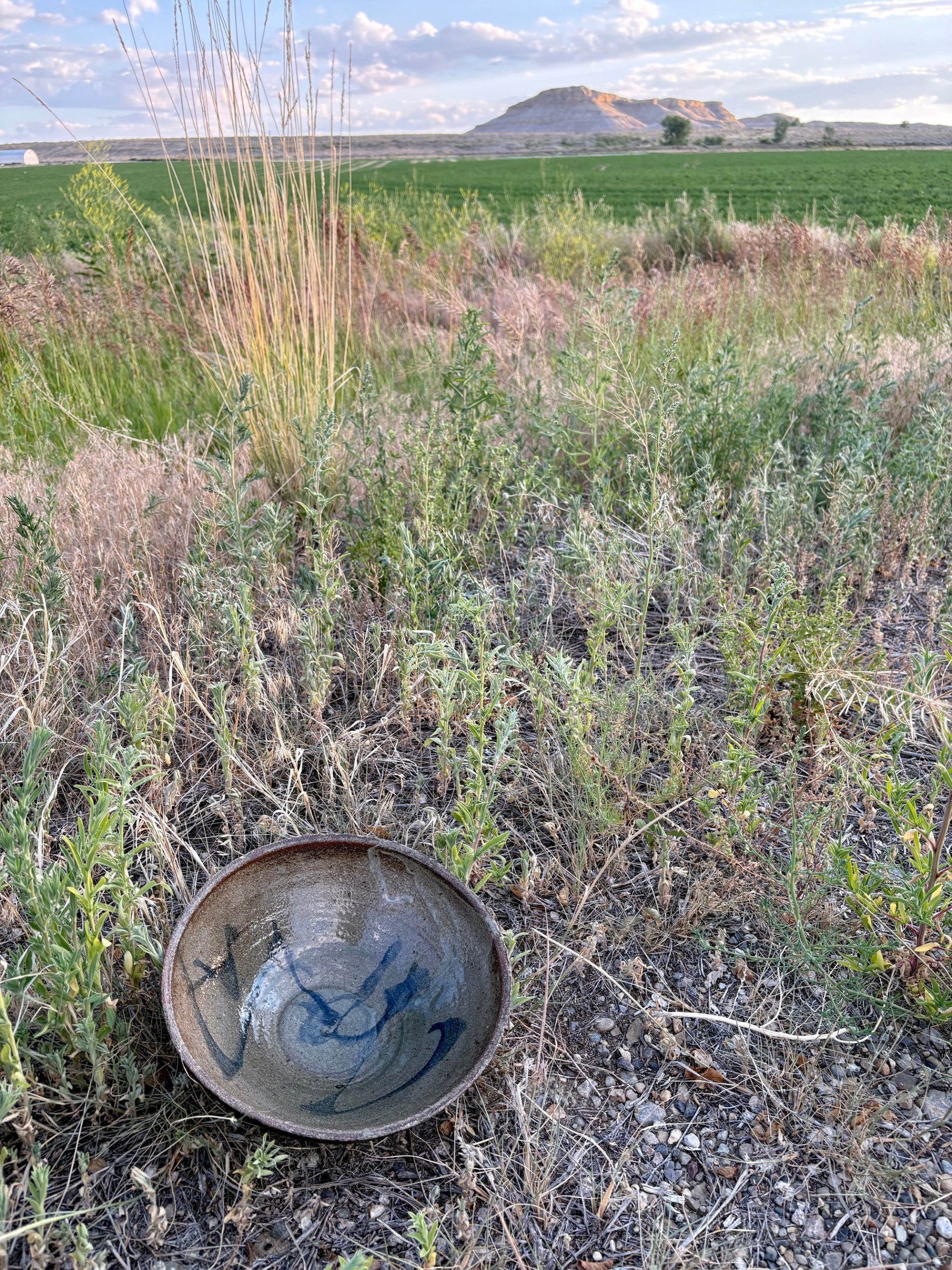 Earth Toned Ceramic Bowl
