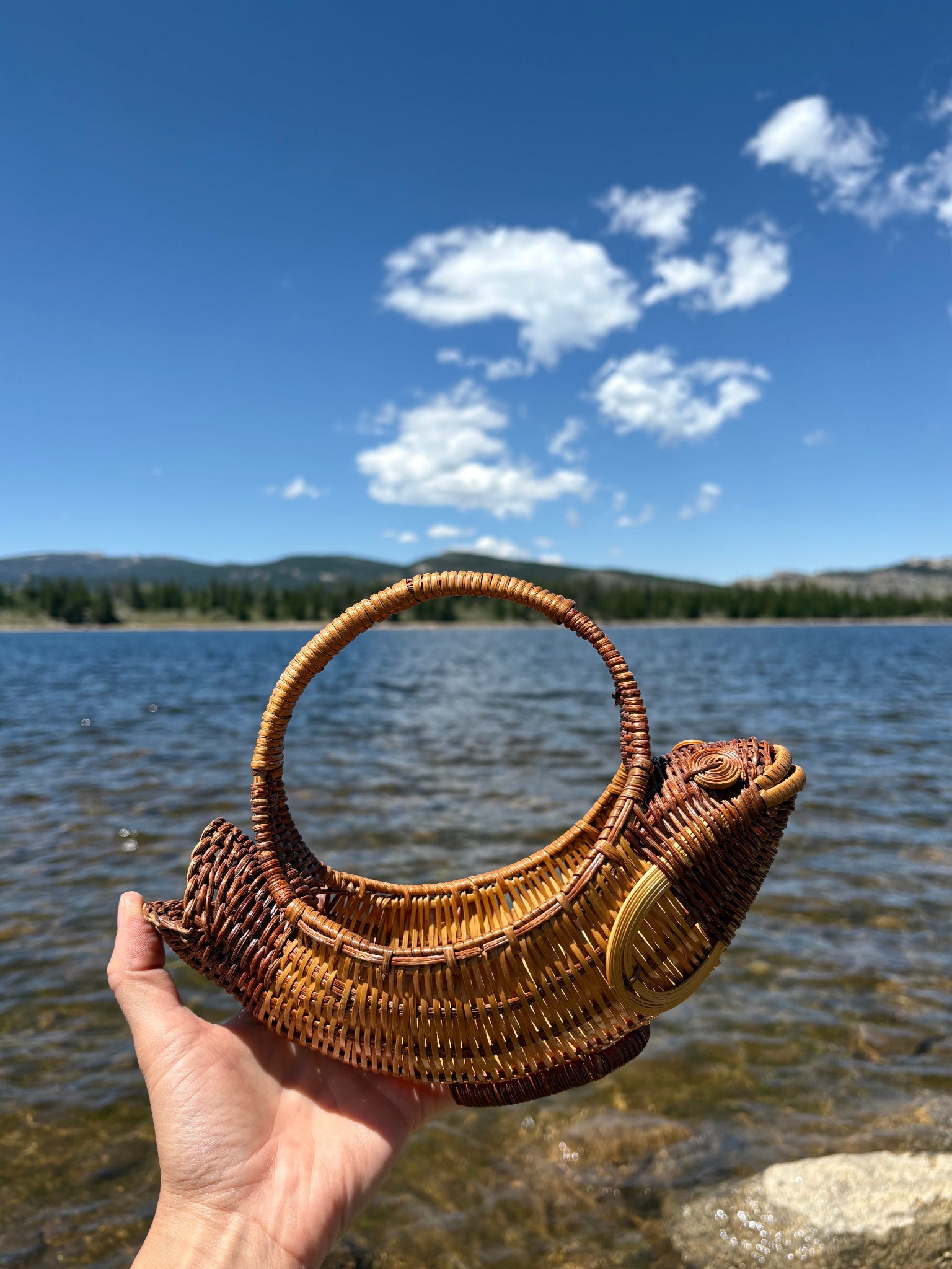 Happy Fish Basket