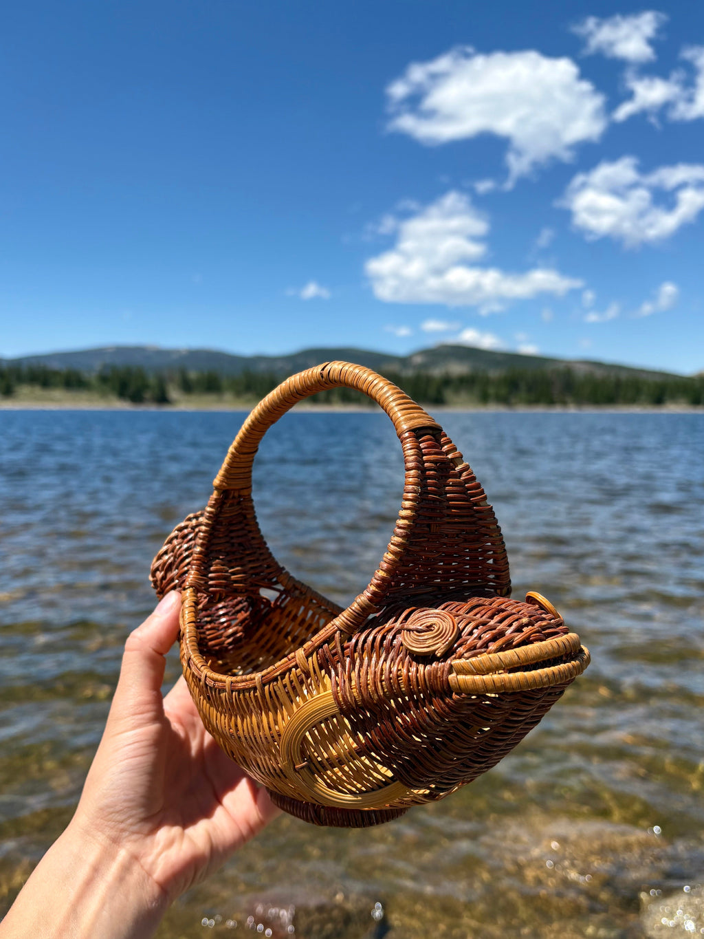 Happy Fish Basket