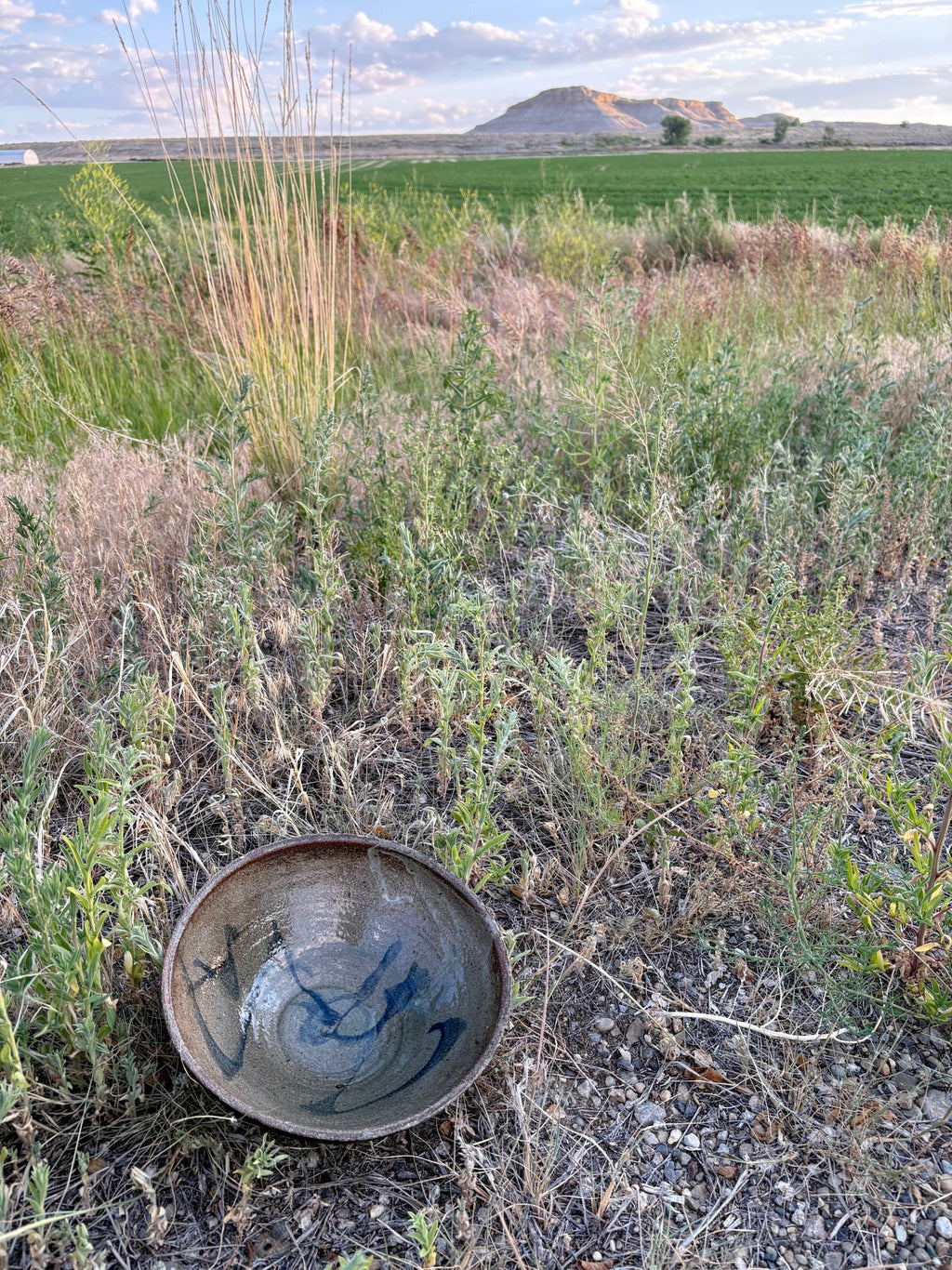 Earth Toned Ceramic Bowl