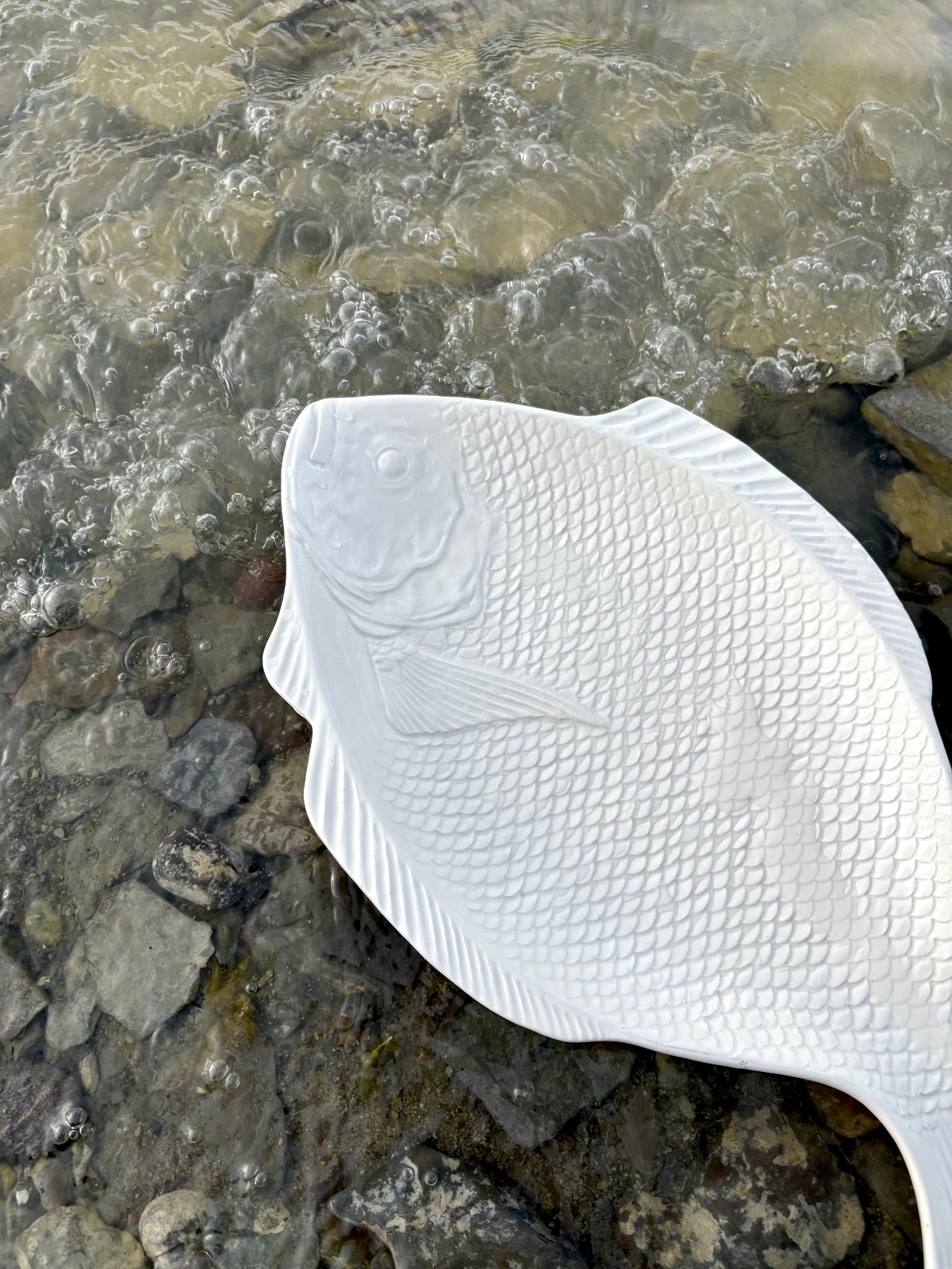 Cream Fish Platter