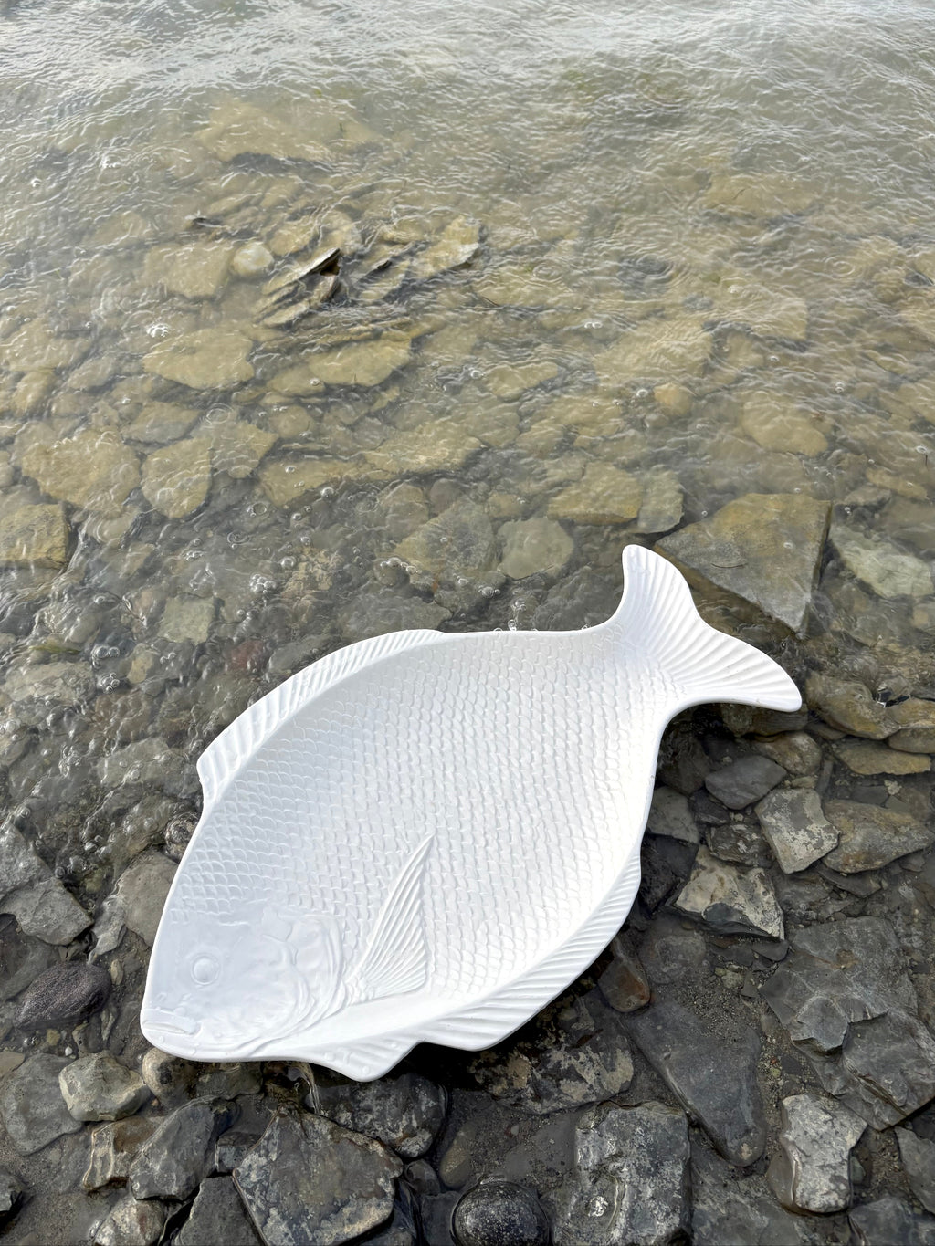 Cream Fish Platter