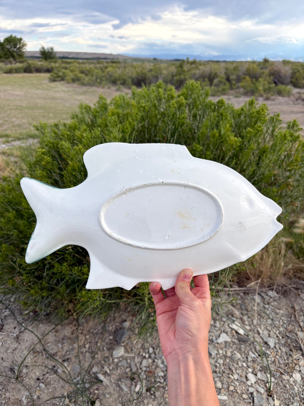 Vintage Teal Fish with Yellow Stripes Platter