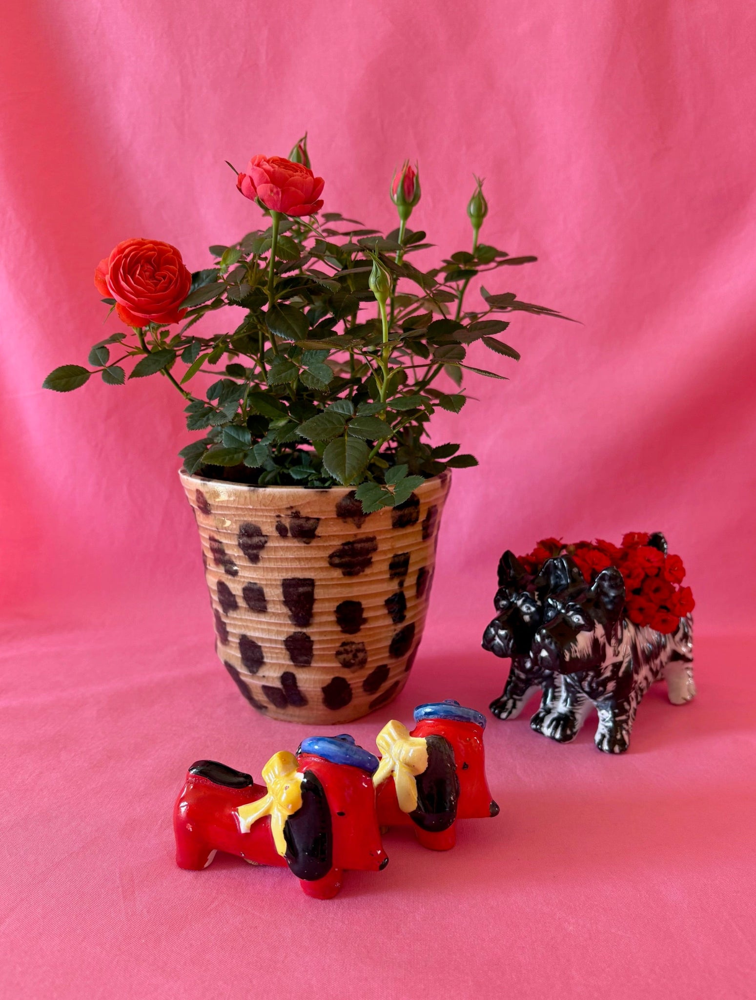 French Pups with Berets and Bows