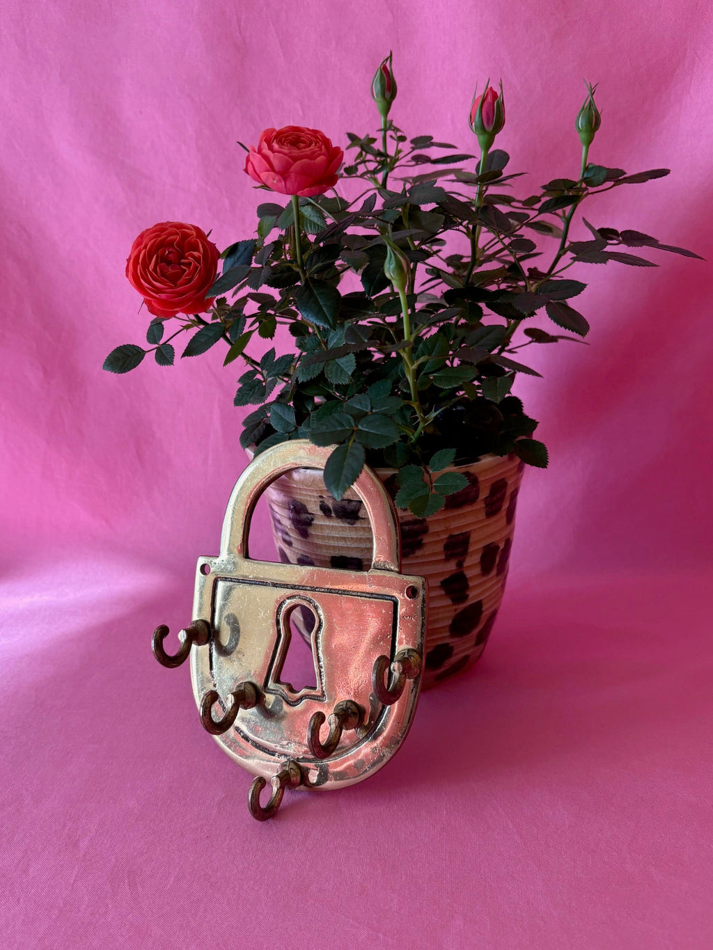 Key to my Heart Brass Key Holder