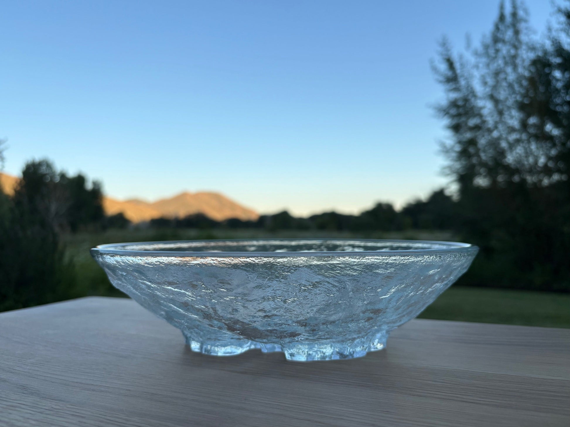 Textured Glass Serving Bowl