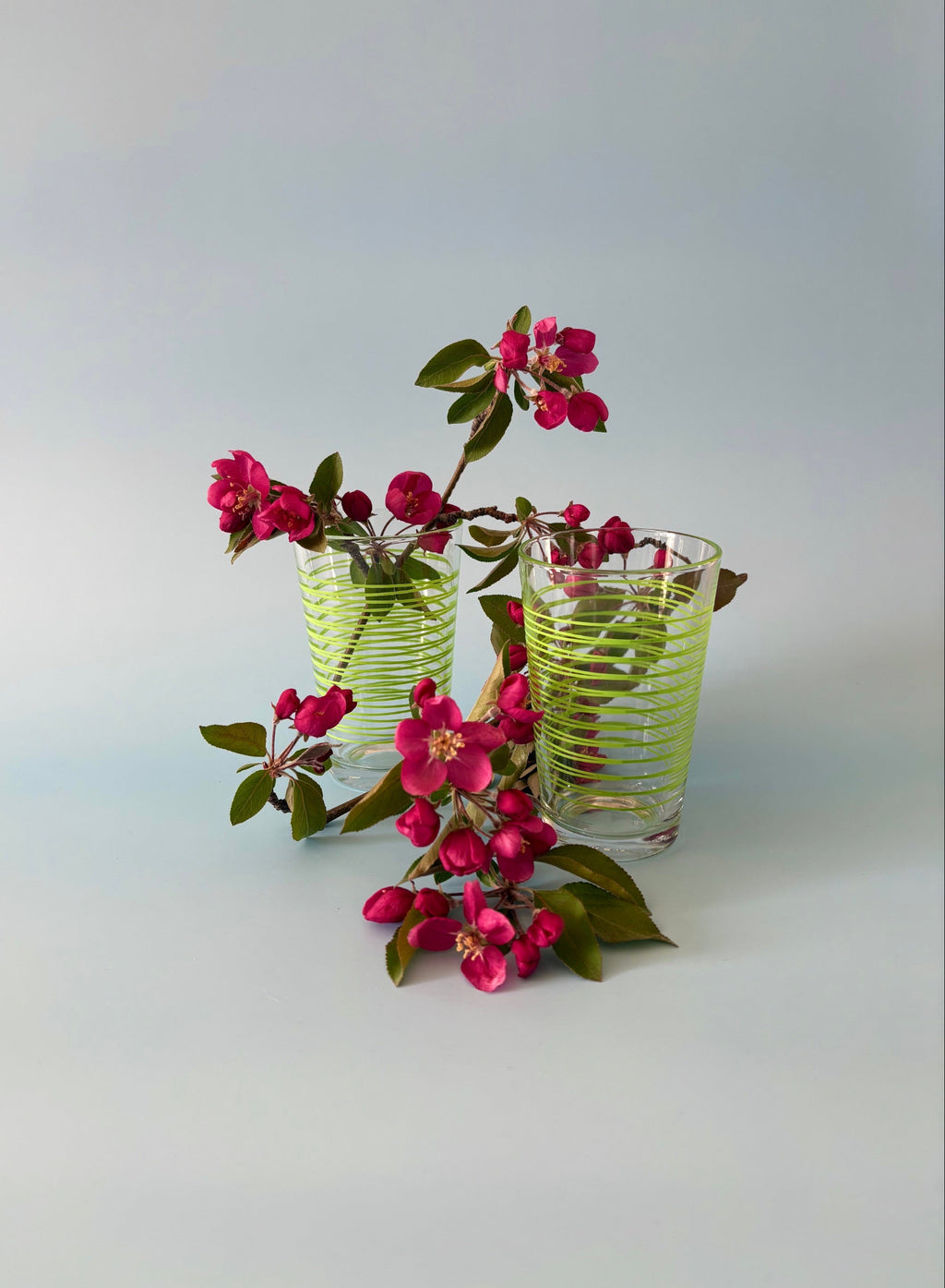 Juice Glasses with Green Stripes