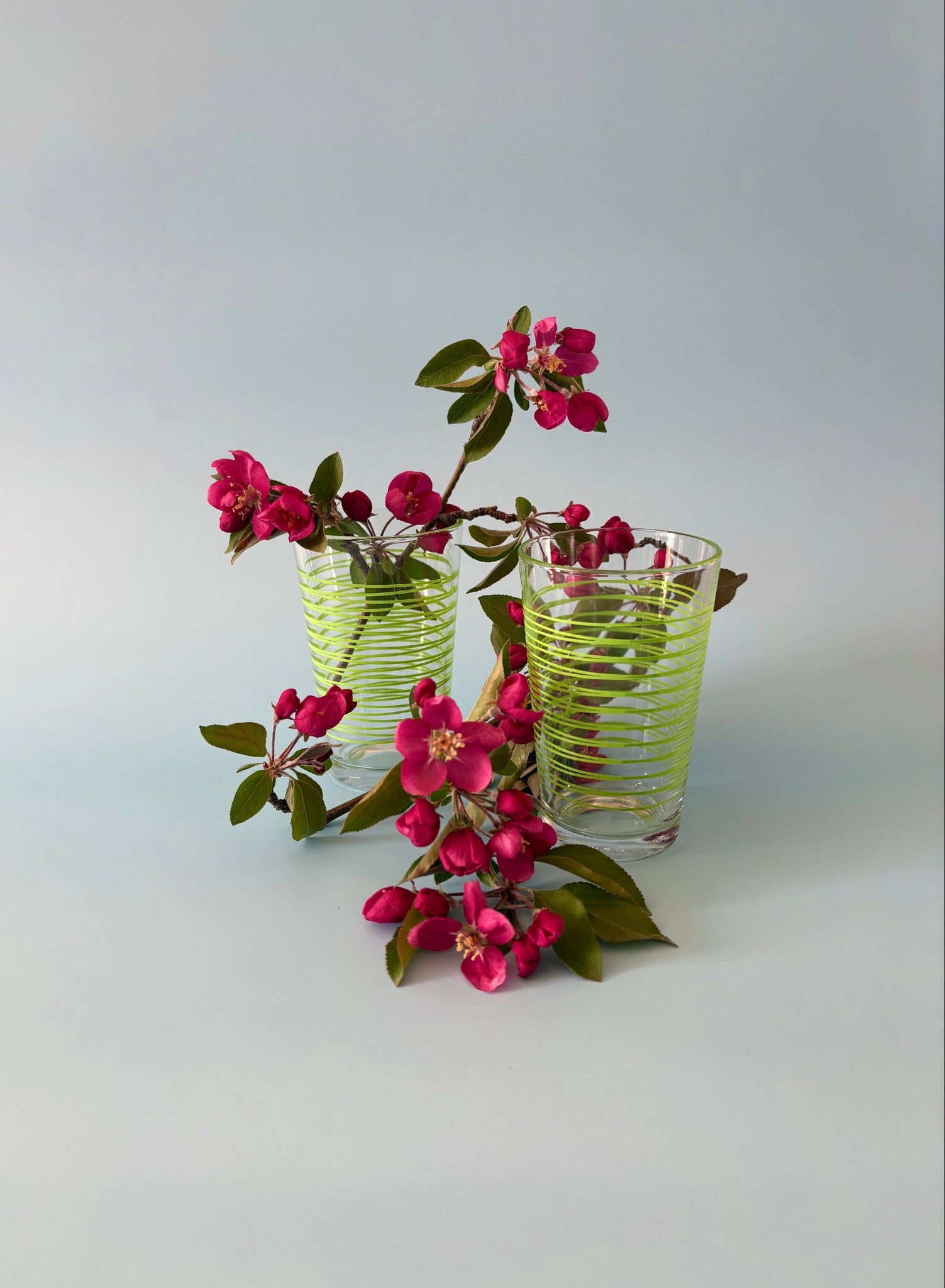 Juice Glasses with Green Stripes