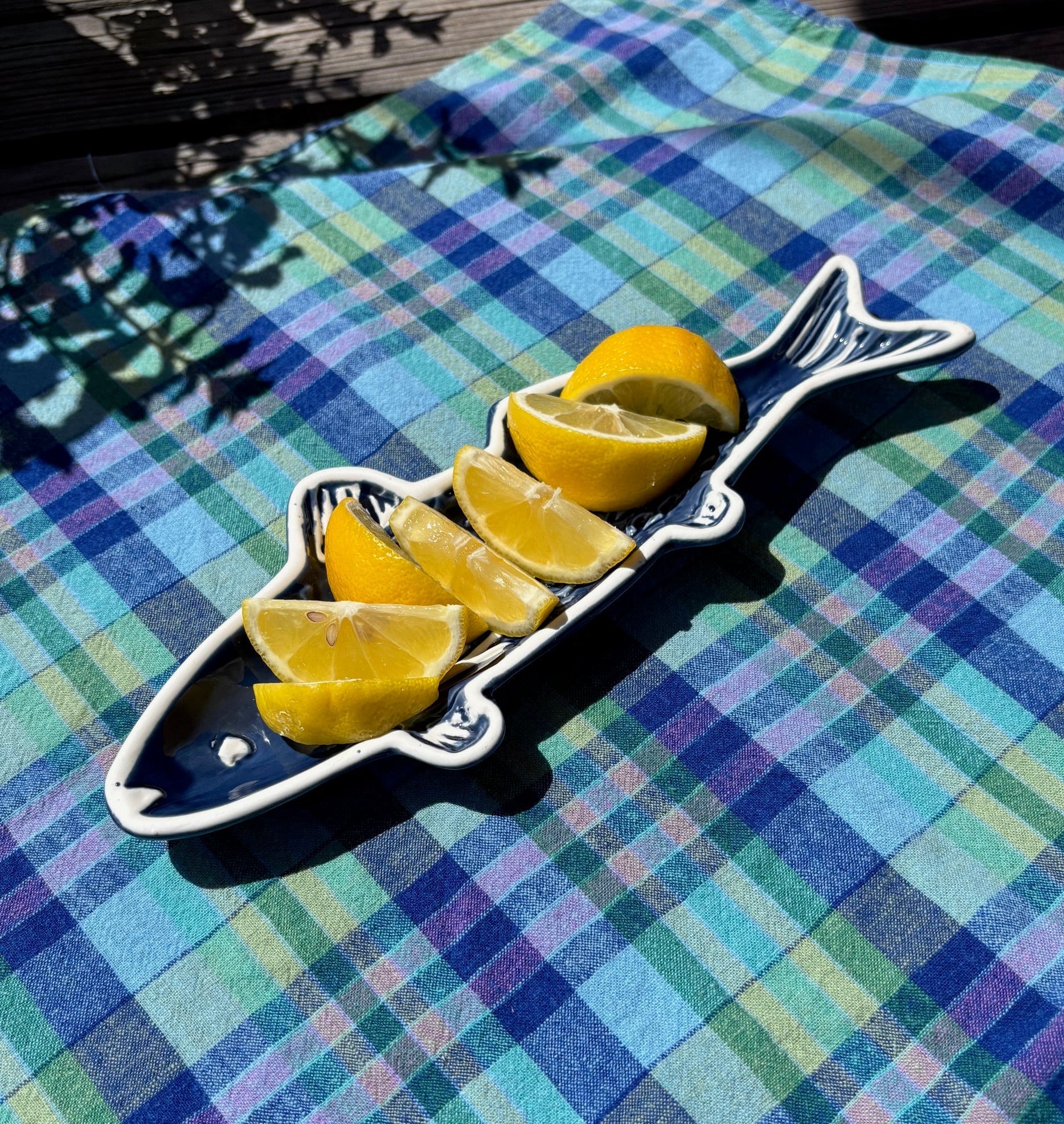 Dark Blue Fish Dish