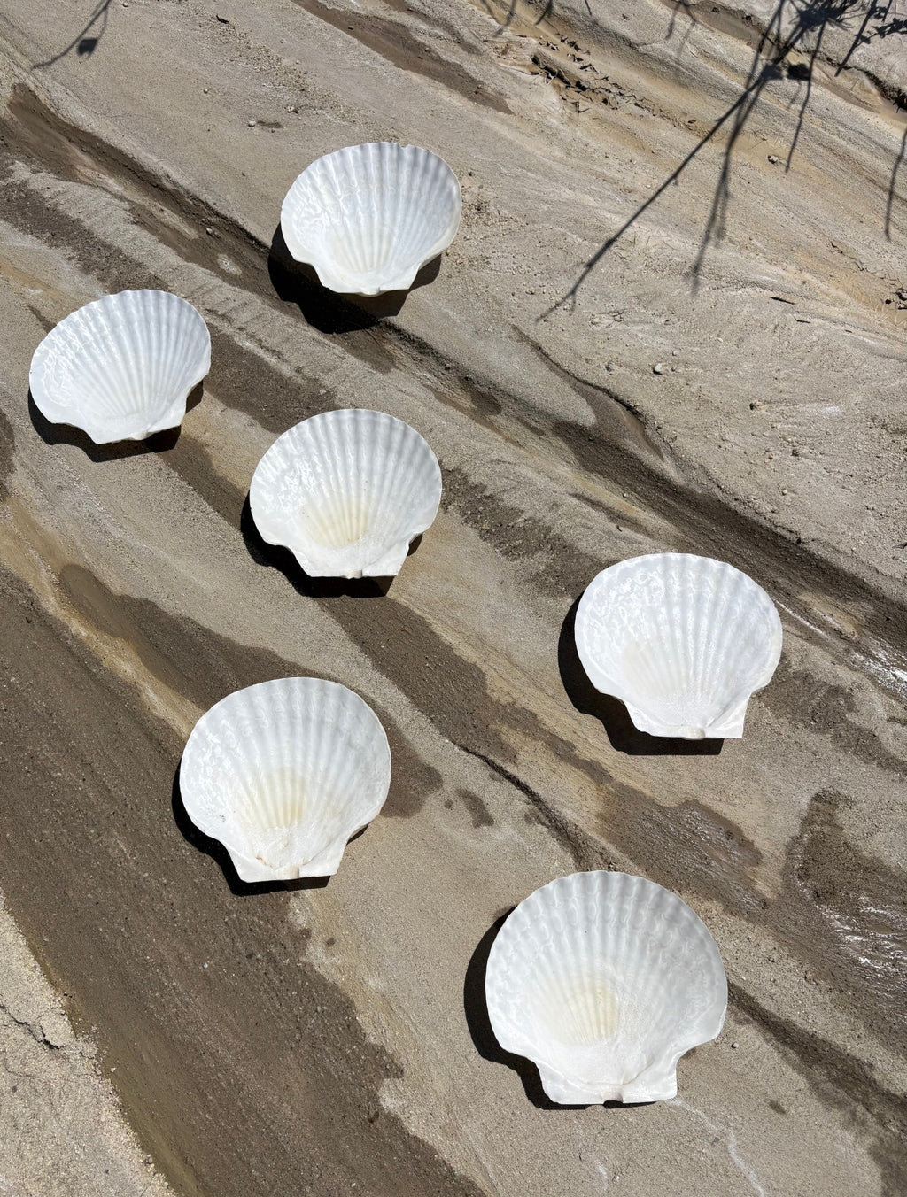 Vintage Seashell Appetizer Plates