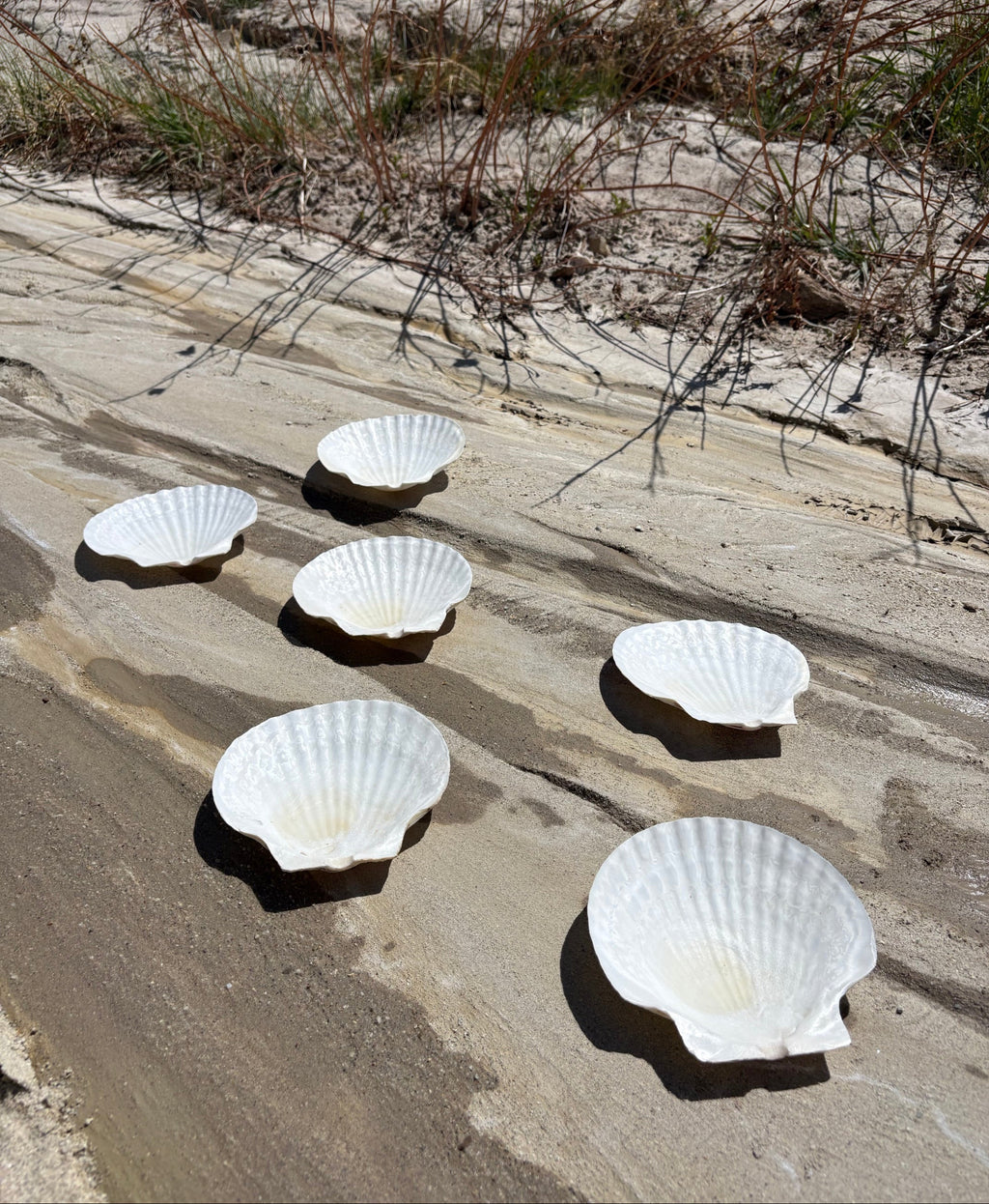 Vintage Seashell Appetizer Plates
