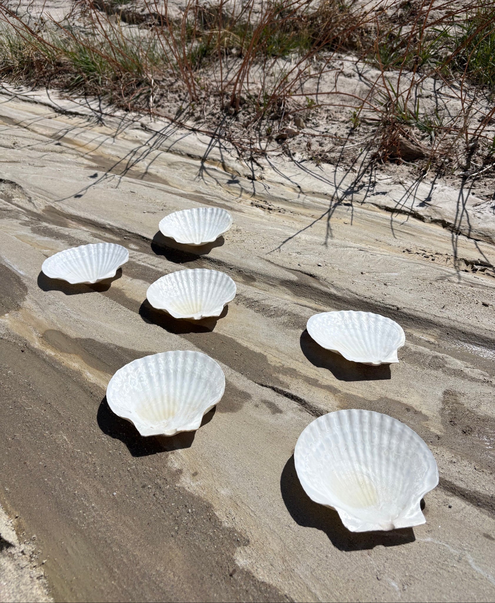 Vintage Seashell Appetizer Plates