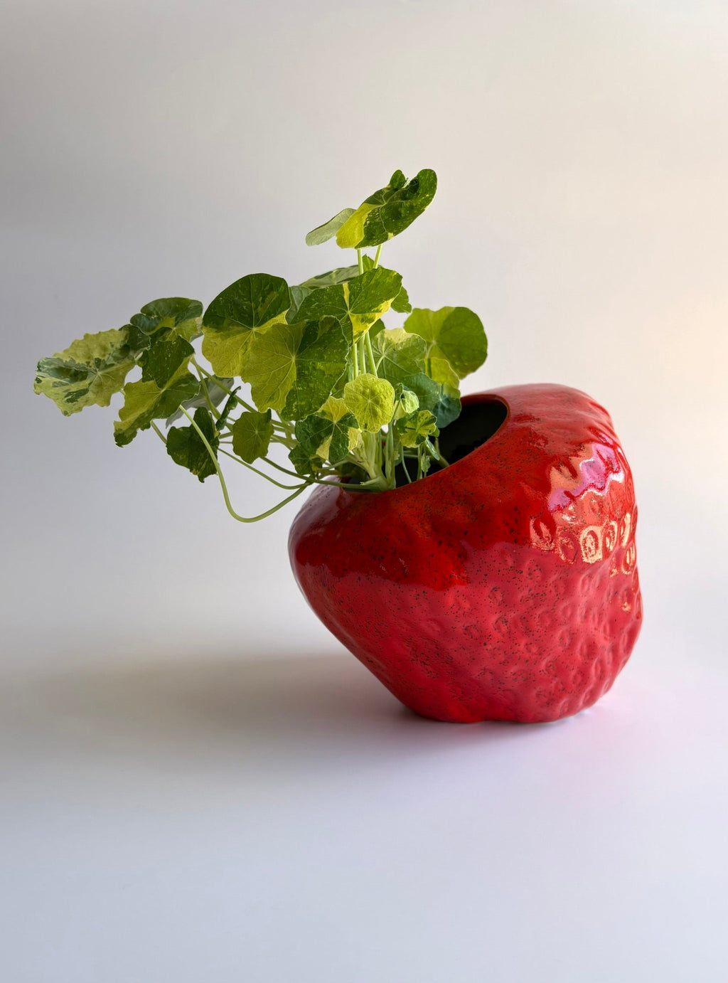Strawberry Flower Pot