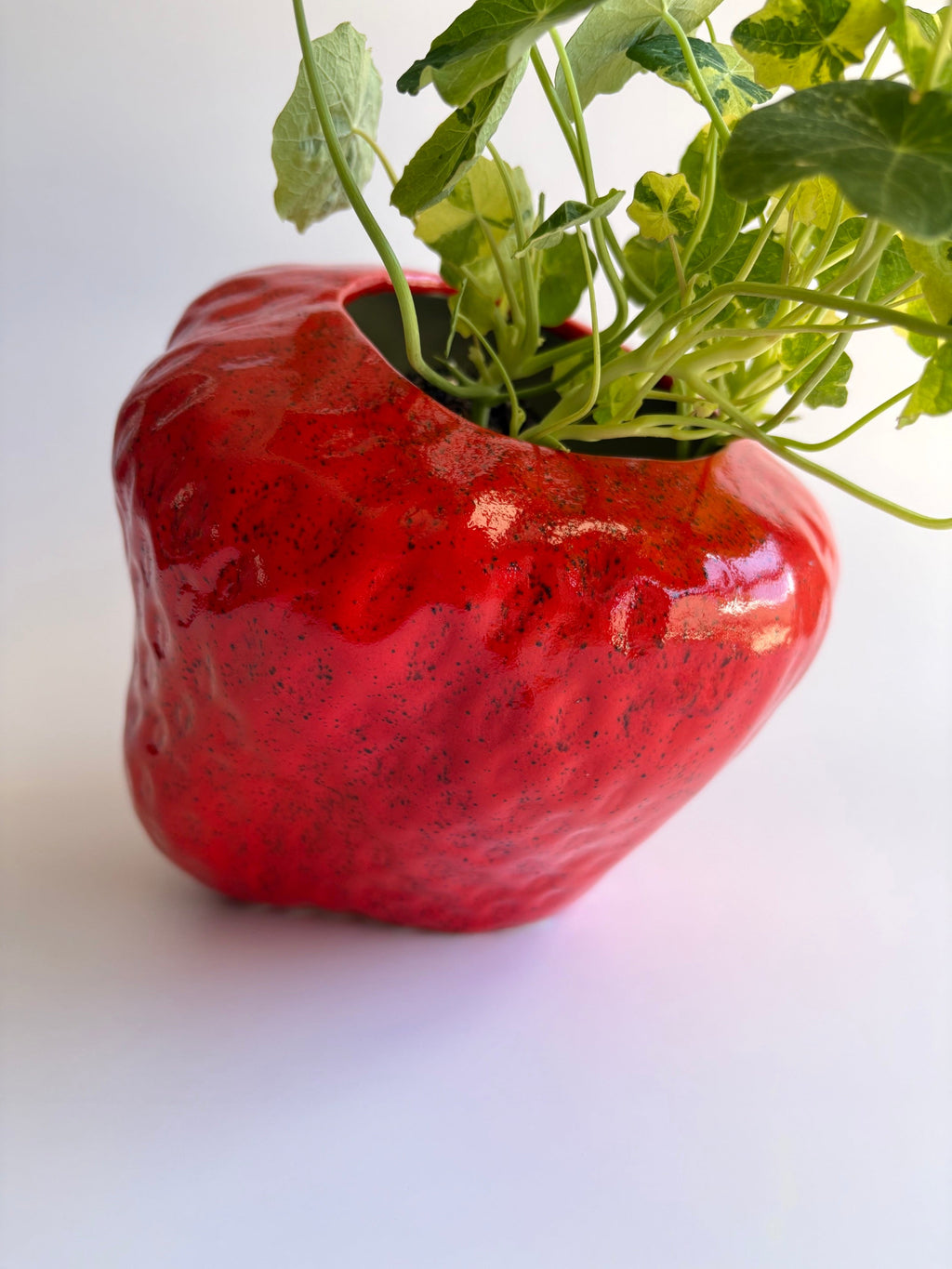 Strawberry Flower Pot