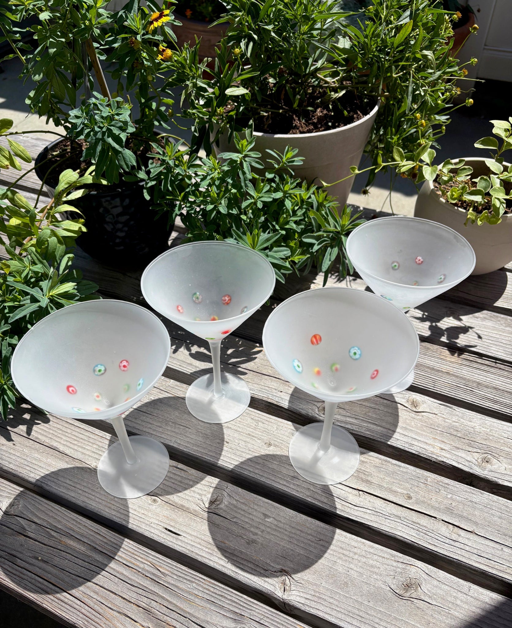 Frosted Martini Glasses with Dots