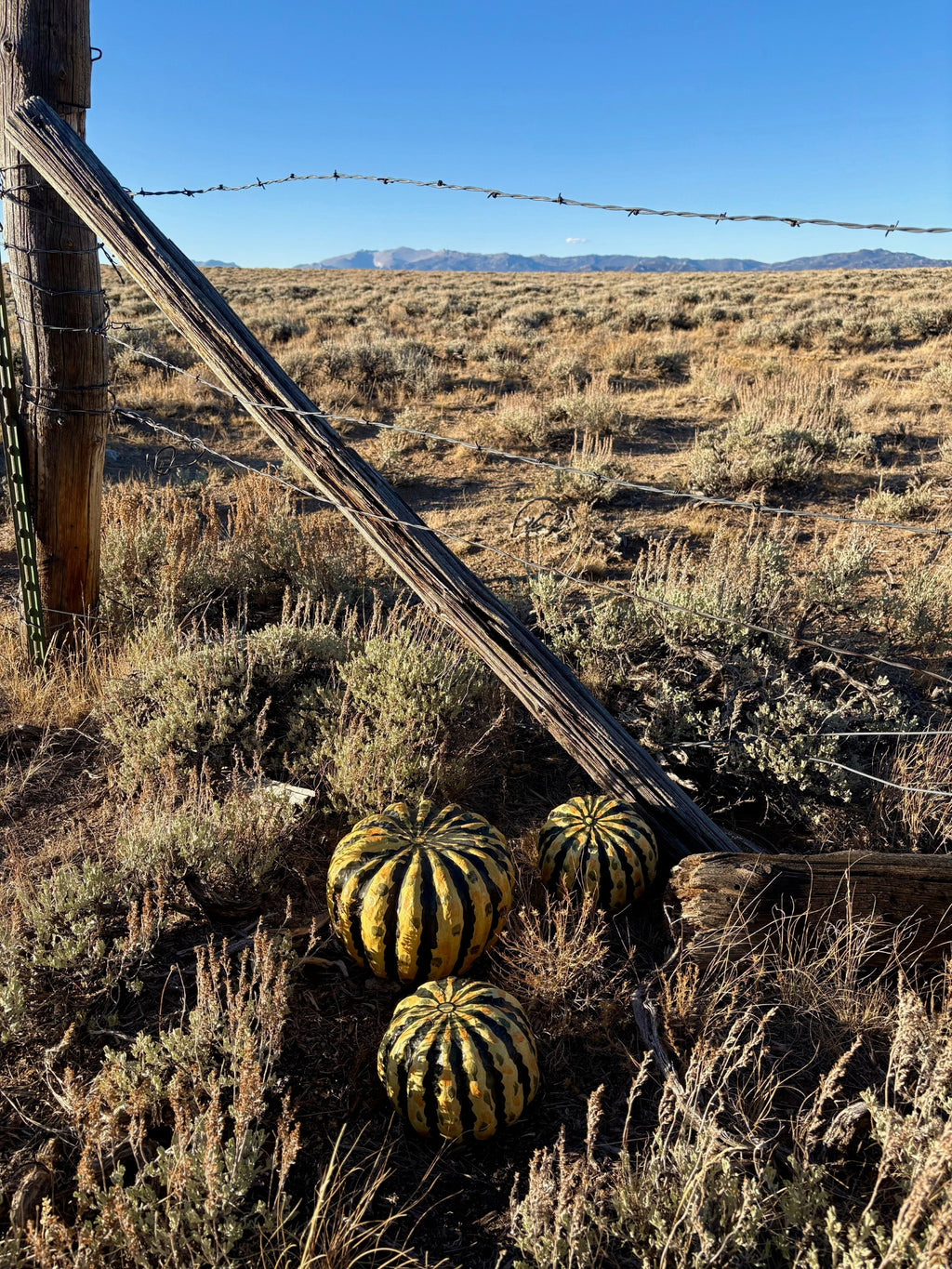 Set of 3 Paper Mache Pumpkins