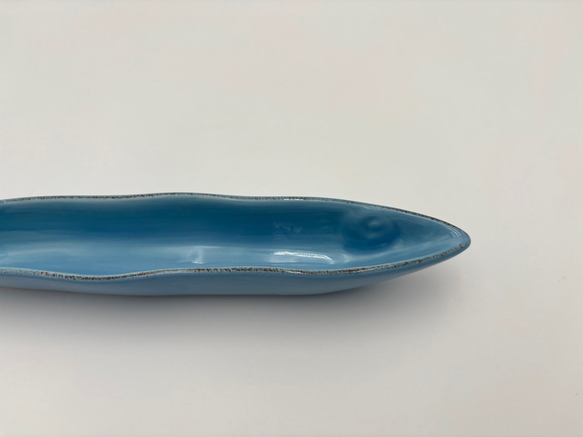 Light Blue Fish Dish