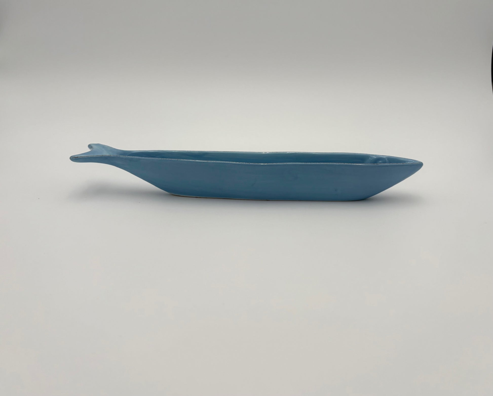 Light Blue Fish Dish