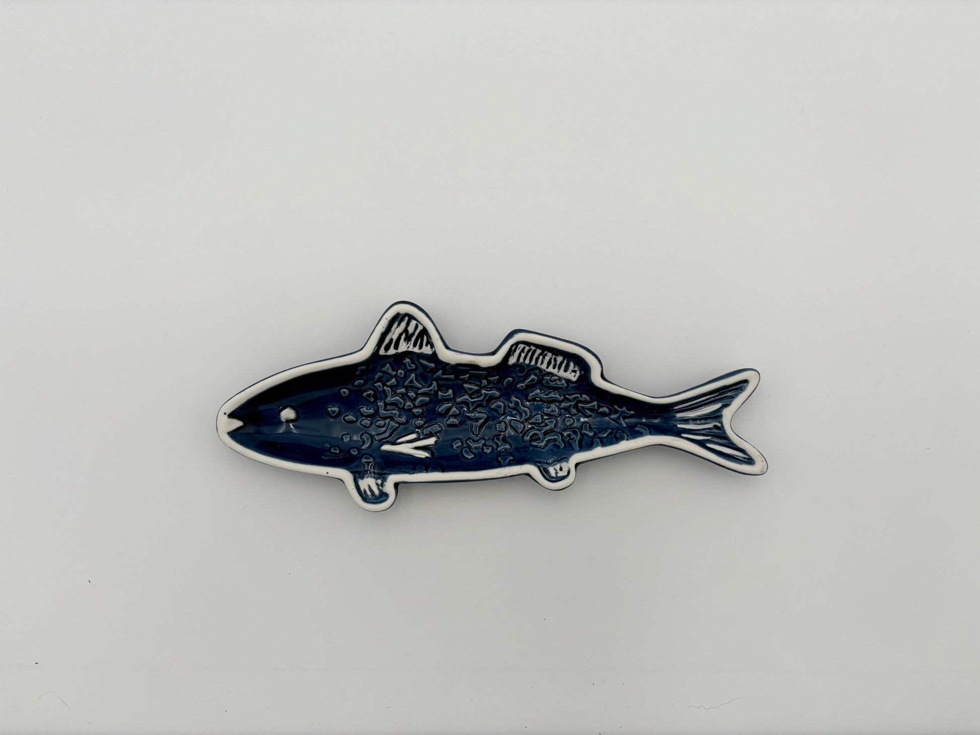 Dark Blue Fish Dish